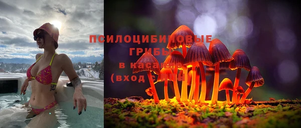 трава Абдулино