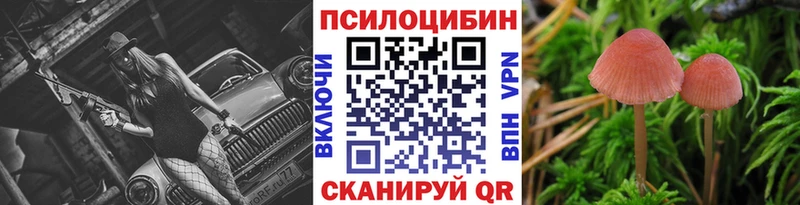 где найти   Ивантеевка  Галлюциногенные грибы GOLDEN TEACHER 